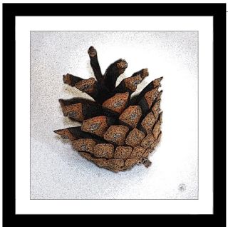 Tavla Kotte 30x30 cm