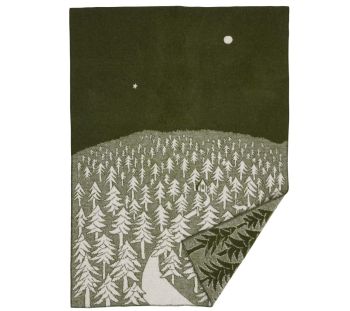 House in the forest