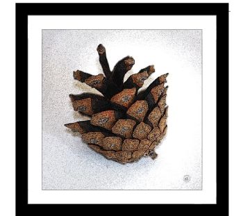Tavla Kotte 30x30 cm