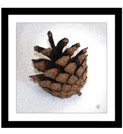 Tavla Kotte 30x30 cm